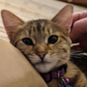 Meet your Posher, R.